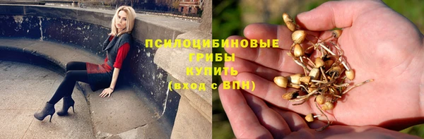 гидра Белокуриха